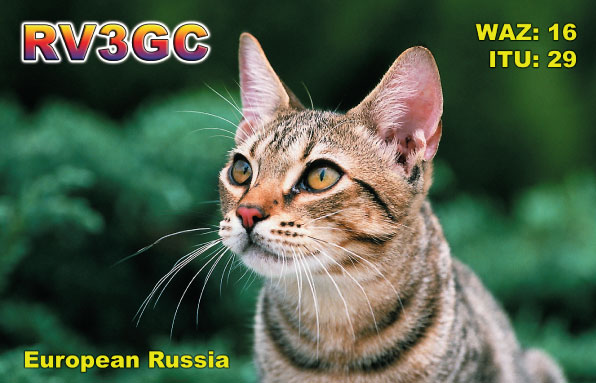  RV3GC